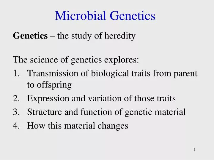 microbial genetics