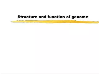 Structure and function of genome