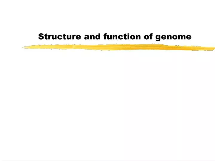 structure and function of genome