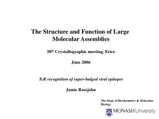 The Structure and Function of Large Molecular Assemblies 38 th Crystallographic meeting, Erice