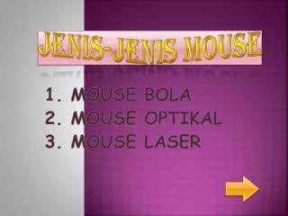 jenis jenis mouse