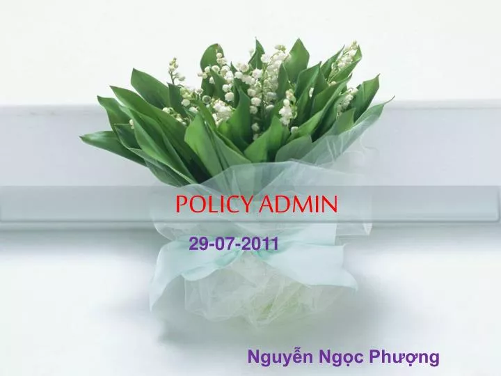 policy admin