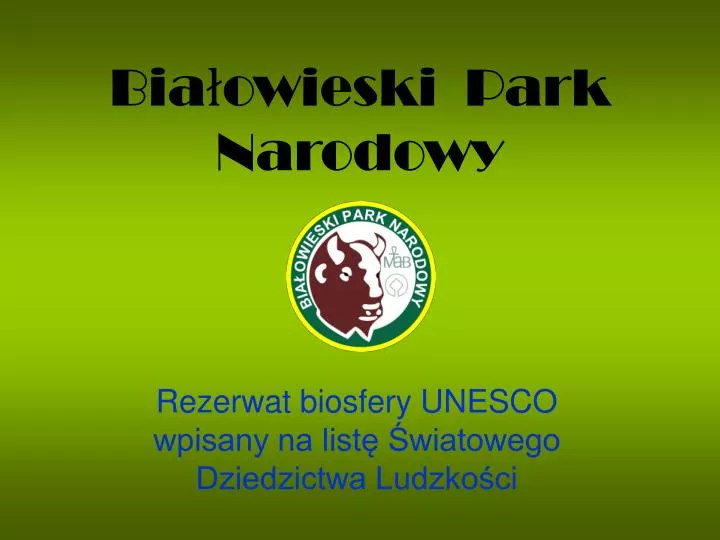 bia owieski park narodowy