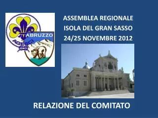 relazione del comitato
