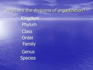 What are the divisions of organization?