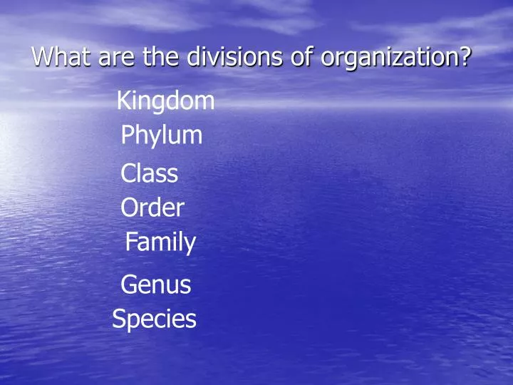 what are the divisions of organization