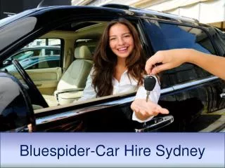 Enjoy Your Ride with BlueSpider Car Rentals