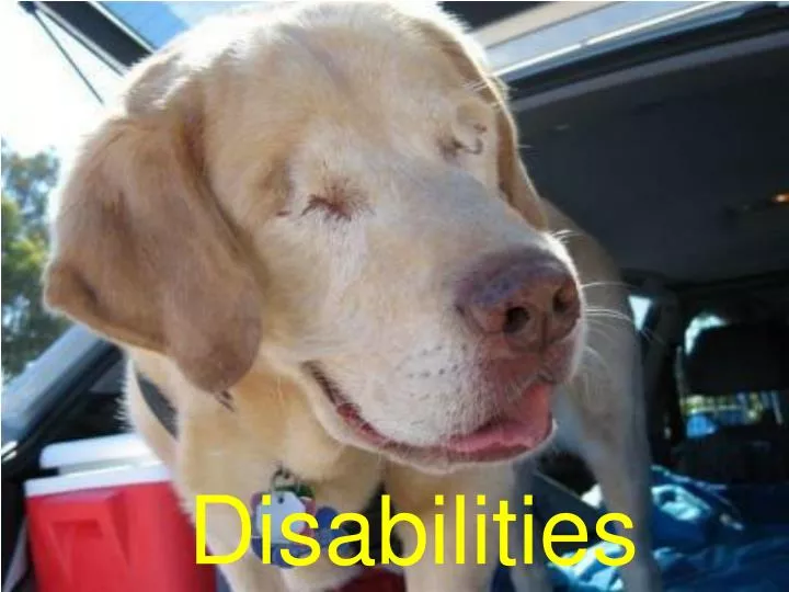 disabilities