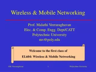 Wireless &amp; Mobile Networking