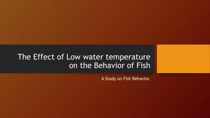 the effect of low water temperature on the behavior of fish