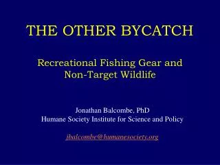 THE OTHER BYCATCH Recreational Fishing Gear and Non-Target Wildlife