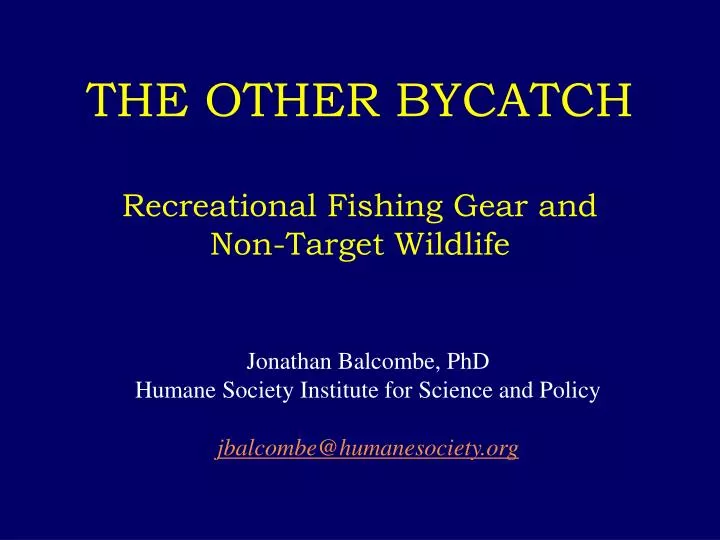 the other bycatch recreational fishing gear and non target wildlife