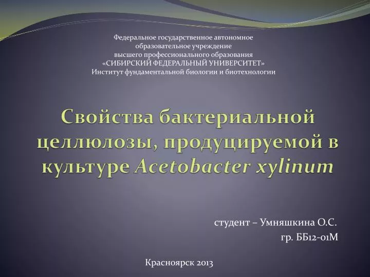 acetobacter xylinum