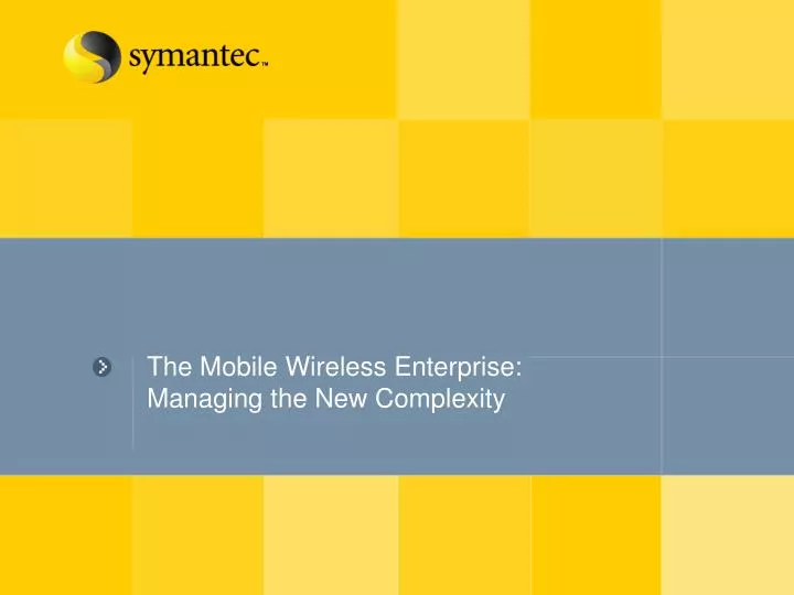 the mobile wireless enterprise managing the new complexity