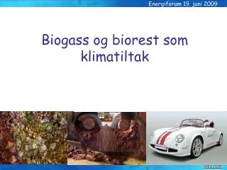 energiforum 19 juni 2009