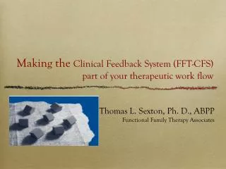 Making the Clinical Feedback System (FFT-CFS) part of your therapeutic work flow