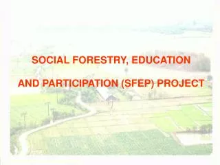 SOCIAL FORESTRY, EDUCATION AND PARTICIPATION (SFEP) PROJECT