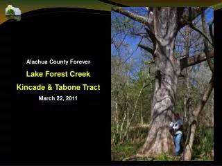 Alachua County Forever Lake Forest Creek Kincade &amp; Tabone Tract March 22, 2011