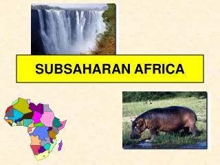 SUBSAHARAN AFRICA