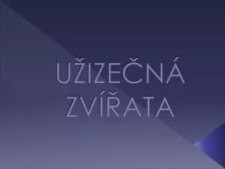 u ize n zv ata