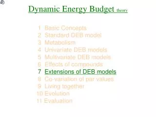 Dynamic Energy Budget theory