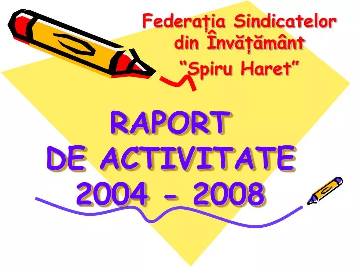 raport de activit ate 2004 2008
