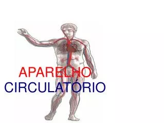 aparelho circulat rio
