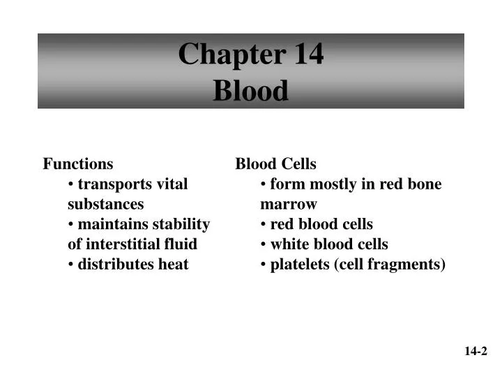 chapter 14 blood