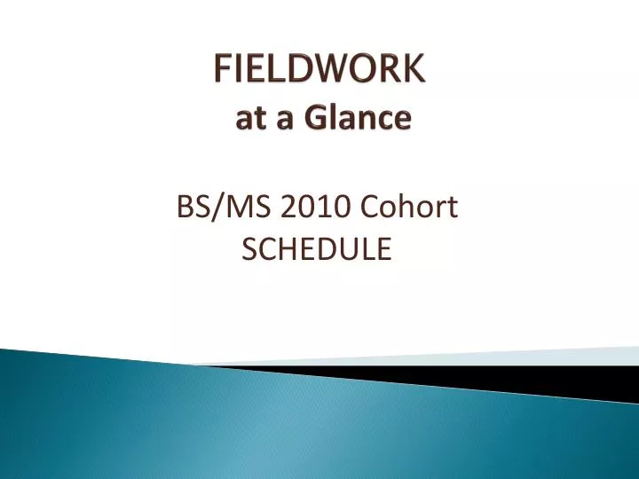 fieldwork at a glance