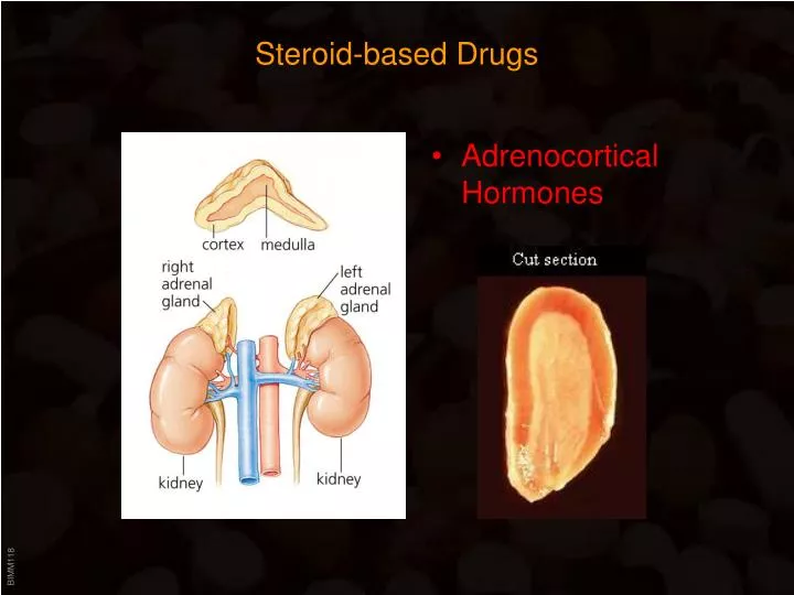 steroid based drugs