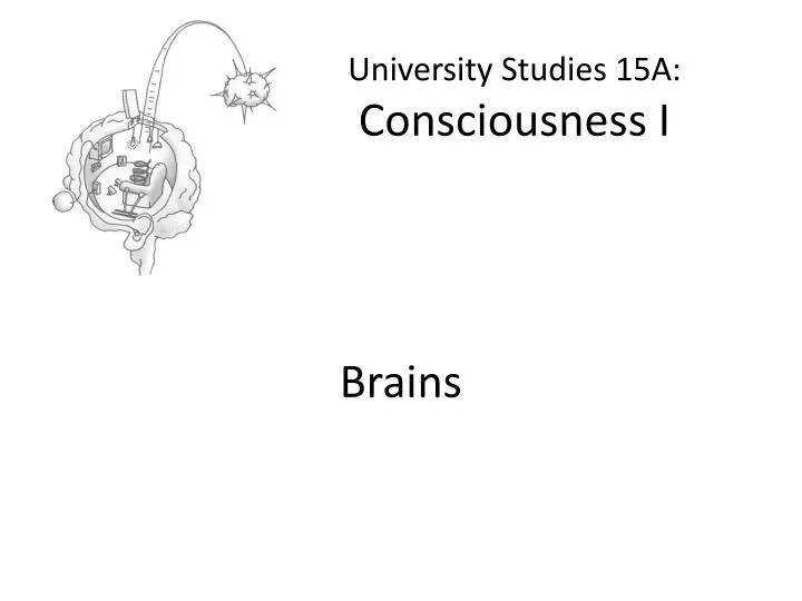 university studies 15a consciousness i