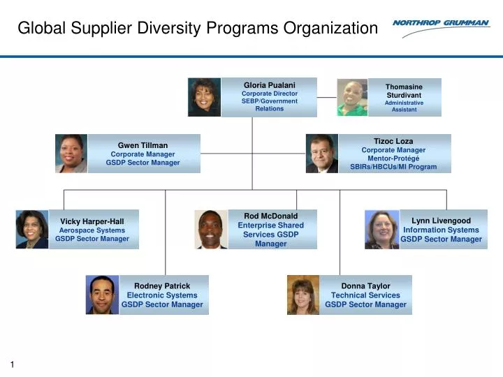 global supplier diversity programs organization