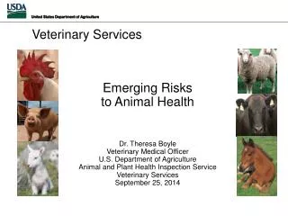 Emerging Risks to Animal Health Dr. Theresa Boyle Veterinary Medical Officer