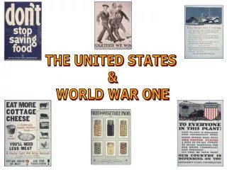 THE UNITED STATES &amp; WORLD WAR ONE