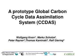 A prototype Global Carbon Cycle Data Assimilation System (CCDAS)