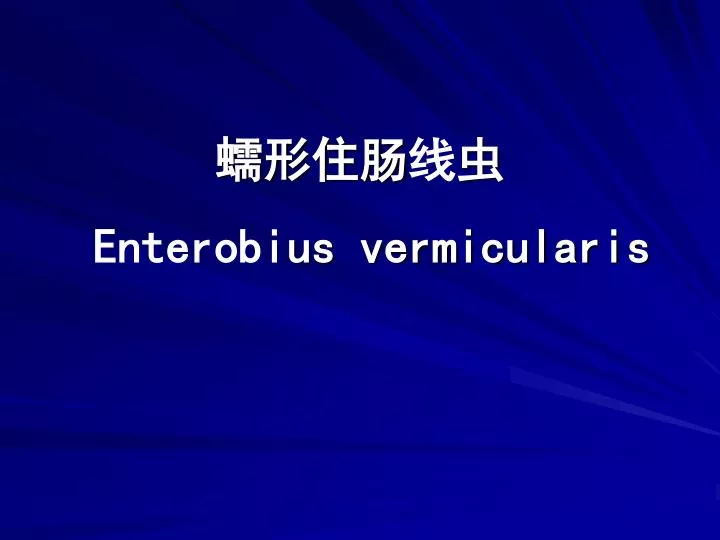 enterobi us vermicularis