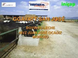 ggavatt san jos