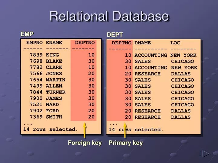 relational database