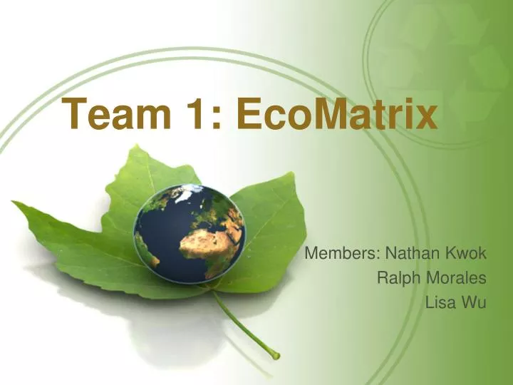 team 1 ecomatrix