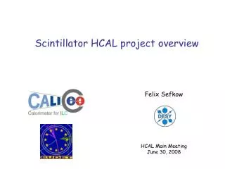 Scintillator HCAL project overview