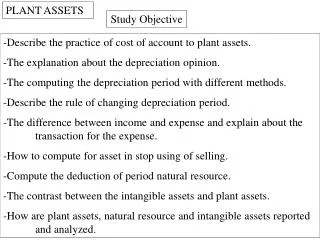 PLANT ASSETS