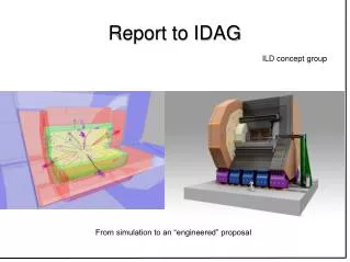 Report to IDAG