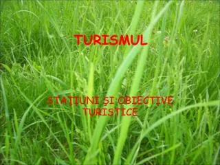 turismul