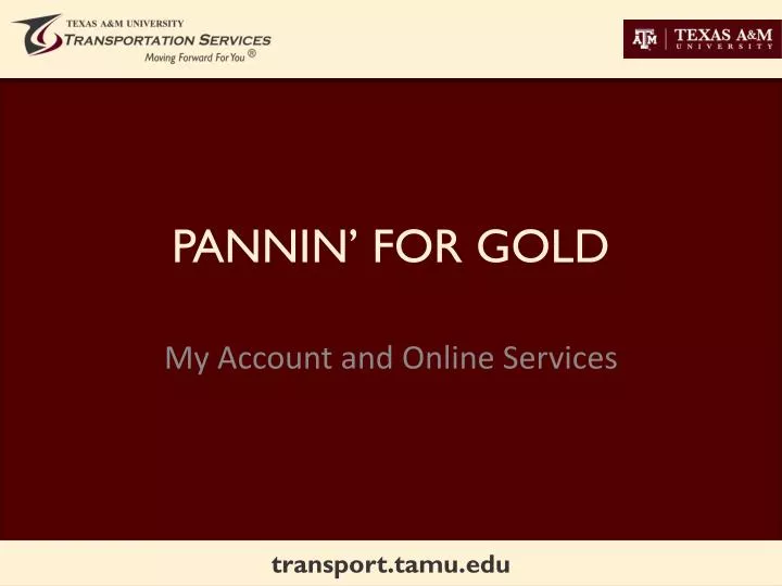 pannin for gold