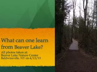 What can one learn from Beaver Lake?