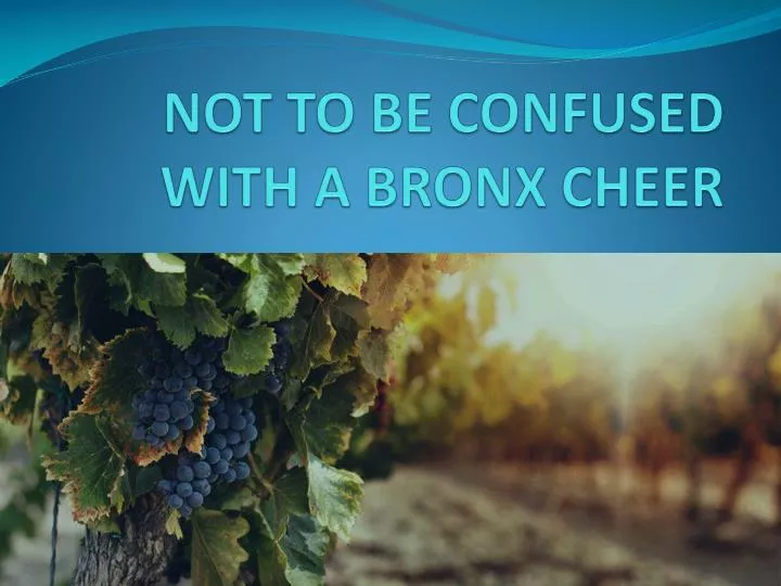 not to be confused with a bronx cheer