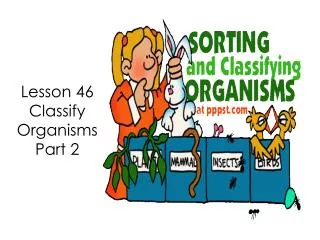 Lesson 46 Classify Organisms Part 2