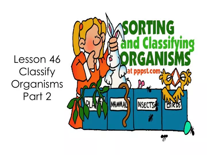 lesson 46 classify organisms part 2
