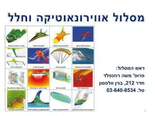 212 03 640 8534