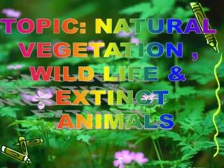TOPIC: NATURAL VEGETATION , WILD LIFE &amp; EXTINCT ANIMALS